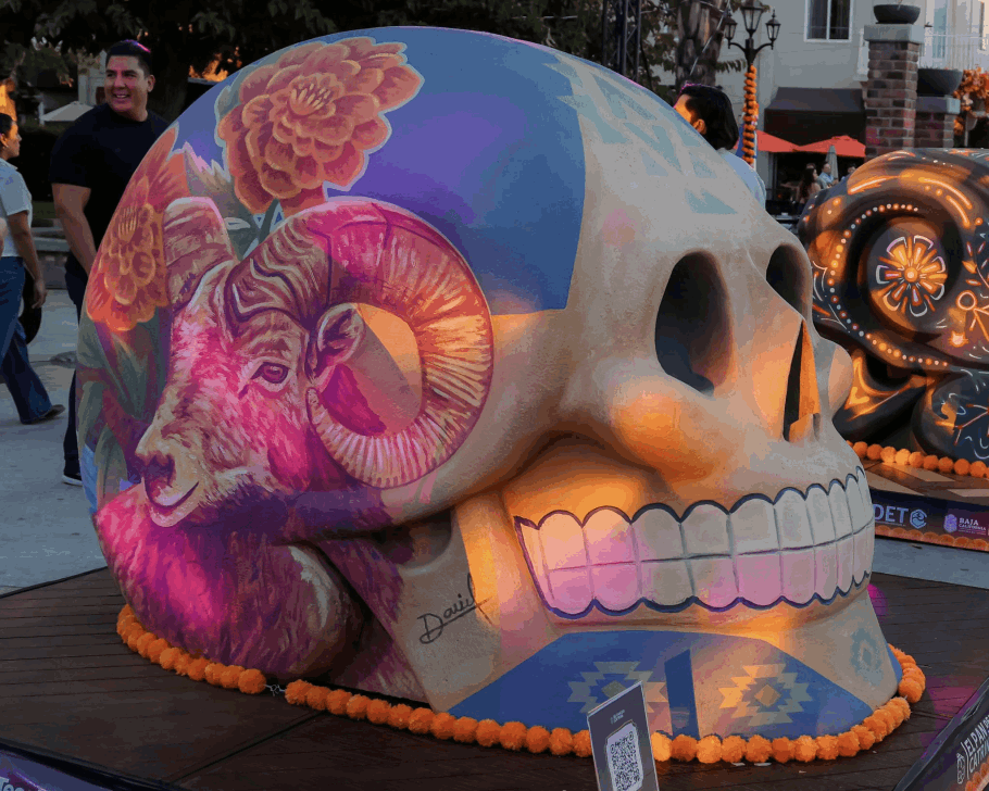 5656c1bc-11d9-4193-bad4-e7511c53529c