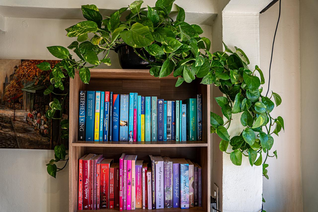 58619a27-9882-40ae-a197-6c4281d9340f