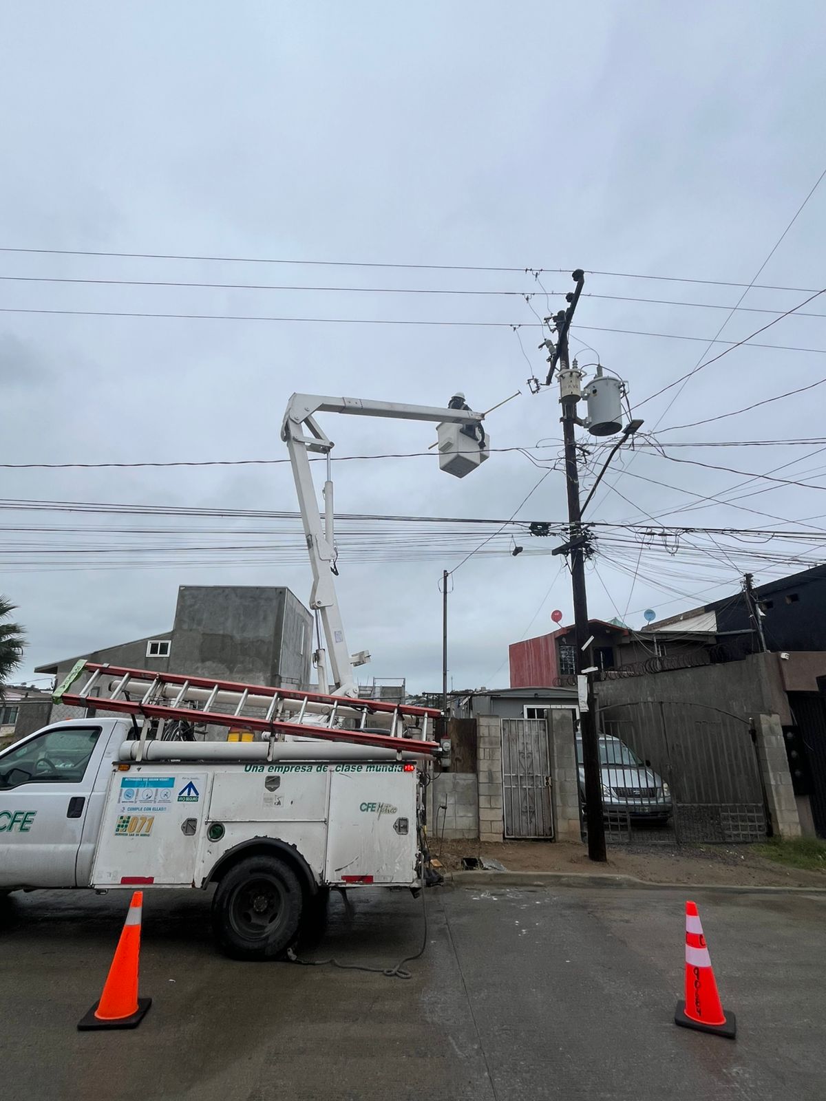 596c50b8-803c-40e0-8054-4b9f1a375392