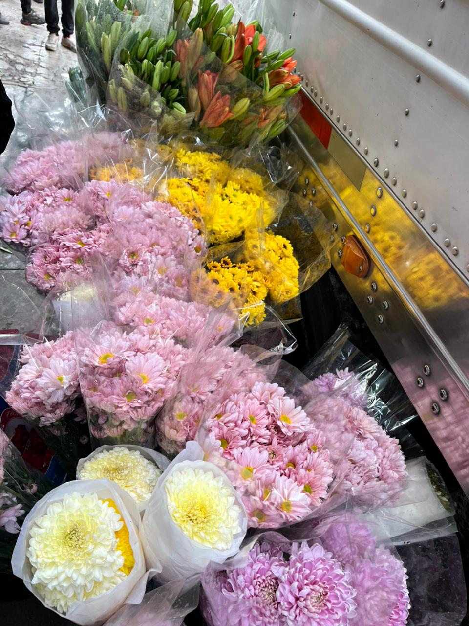 5b4605f6-e82b-4c35-9fd3-f1cea8e419ec