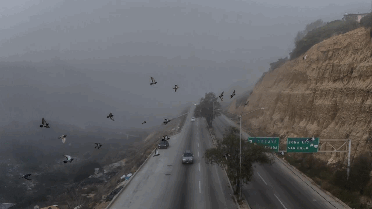 5c3cfa58-5fbd-464f-817b-416e6f5eb859