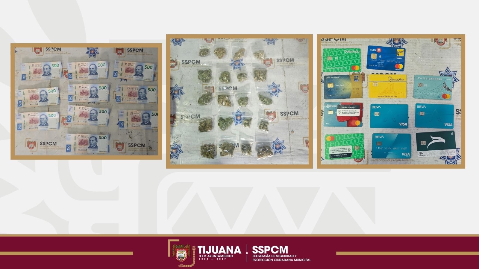 5e0da4b2-f3ba-4851-8969-637fab3e669b