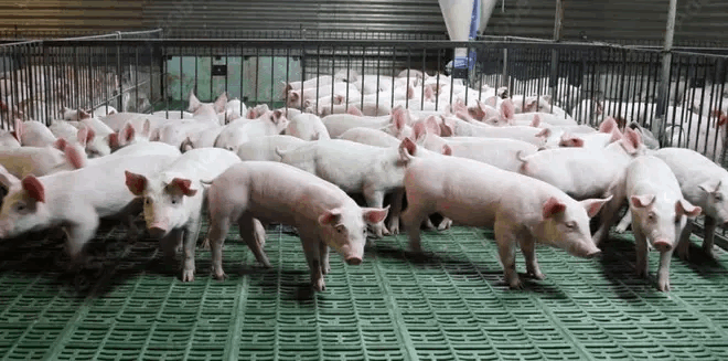 5e50a60b-ba0e-47b8-a0c0-3e1ac953fafc