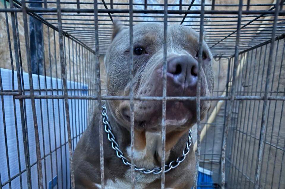 5ef2bf2f-eccc-4447-bef9-98bf40e3eb89