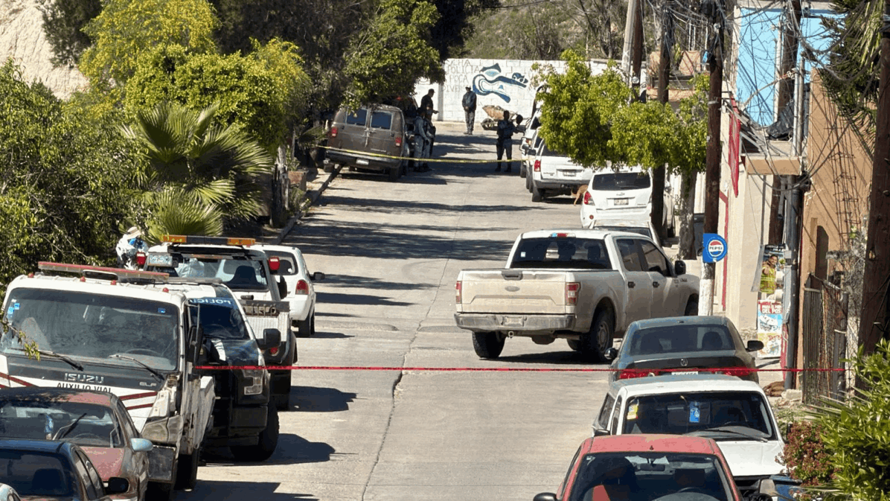 5f02ffd8-8305-4a72-b68a-a88ddb3292a3