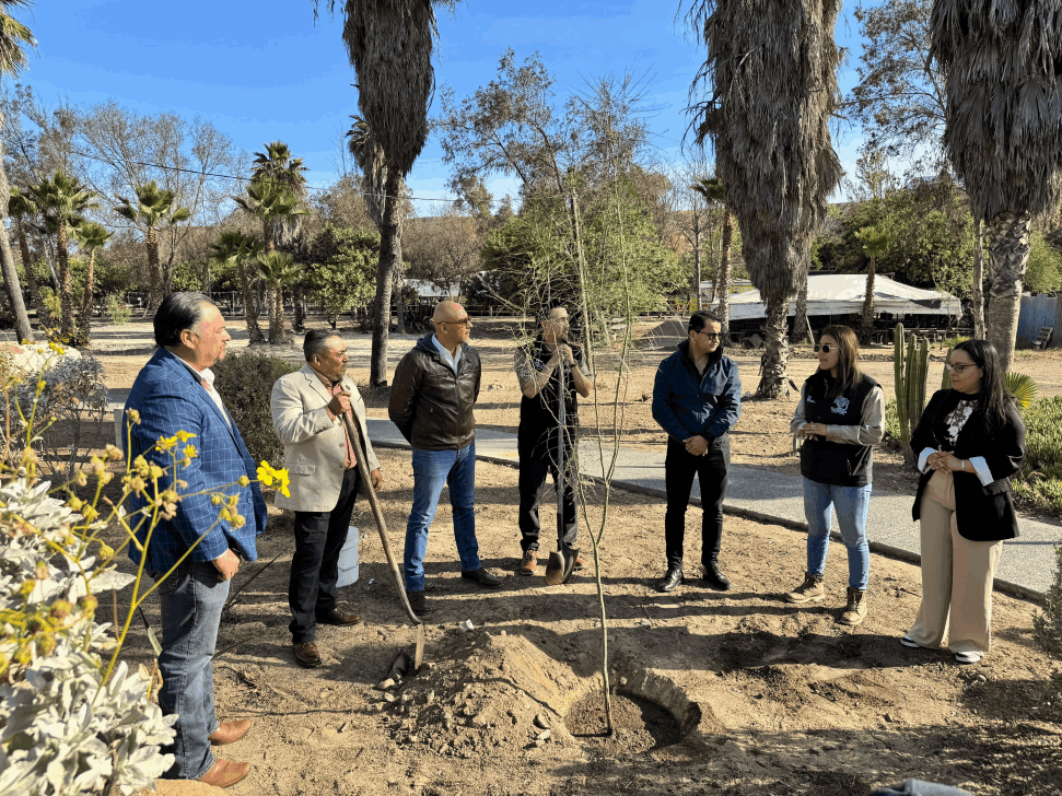 613d0a99-d04d-4e84-9909-d756110de683