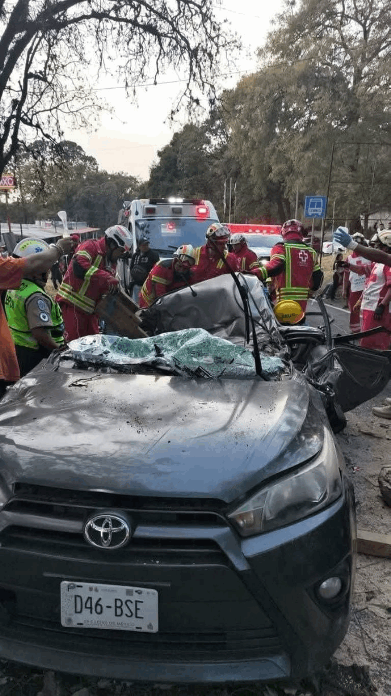 69ddf62b-62da-4b8a-94a6-a3e9e8cddf60