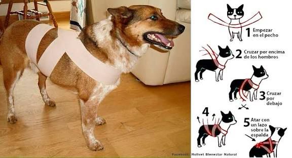 6acf47db-d042-4c61-b88c-fed342bcecaa