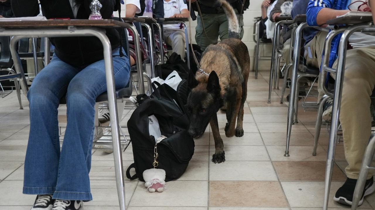 6d056182-fdaf-4d1d-a658-09a94b20013a