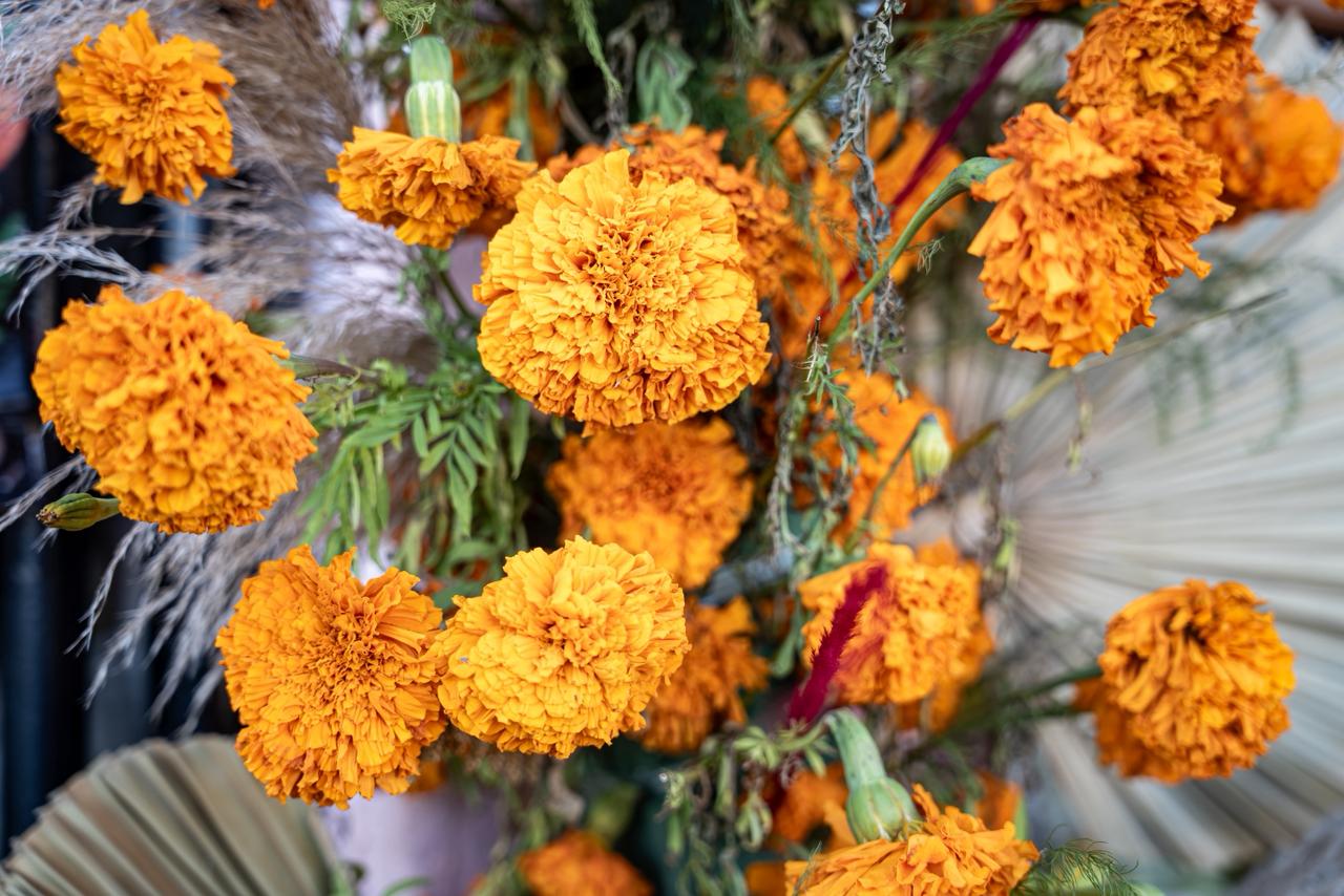 6d383ba0-adda-4145-9b04-29203a519f38