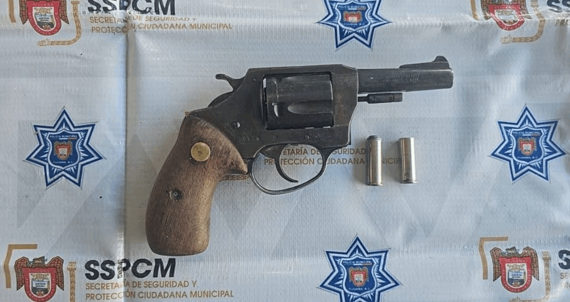 6d86491d-6ff8-42a1-a8b4-0bcfd1e81106