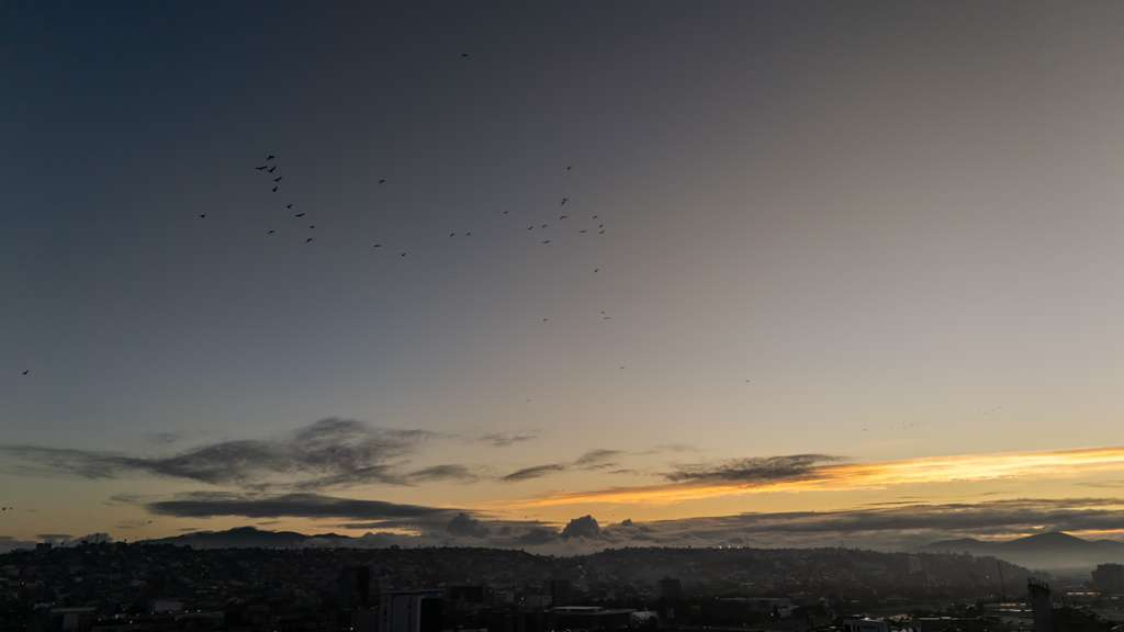 6dba2b53-1357-4315-8664-b072e84aee45