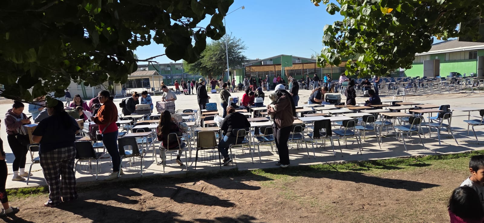 6dc51bdd-8cef-4b35-8e3a-49220a74ac66