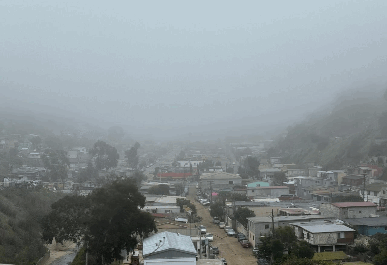 6e73699c-23cf-4f82-90fe-87b4403e88a8