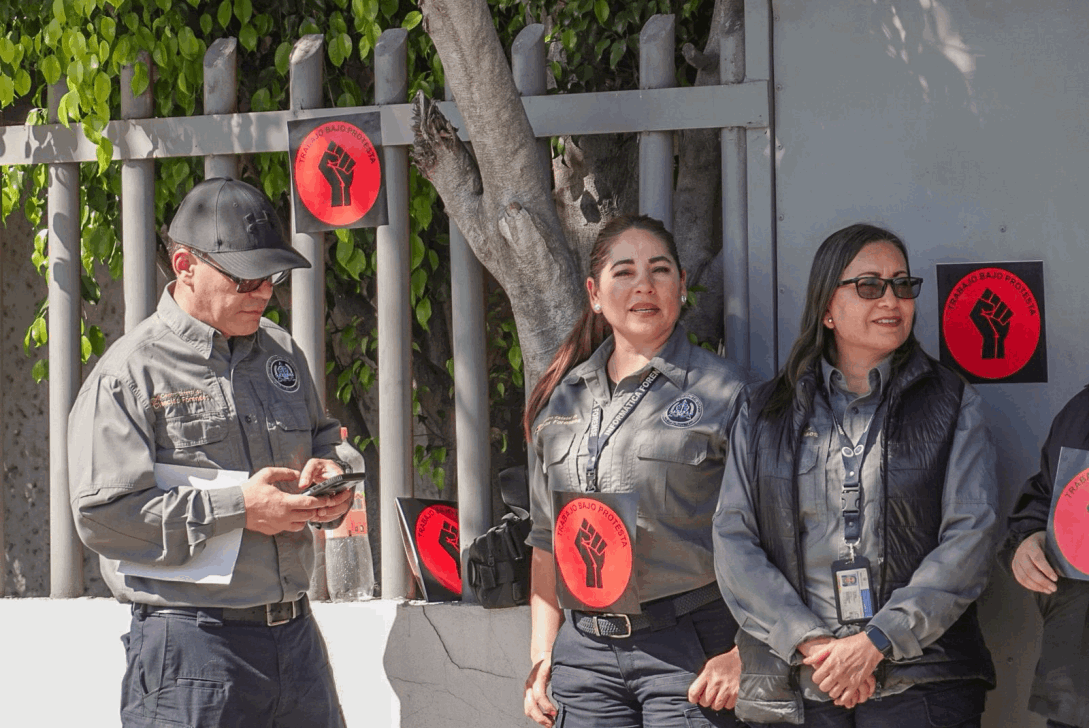 6e8ae6c4-f31e-48e2-8f0c-a7865ed8ab54