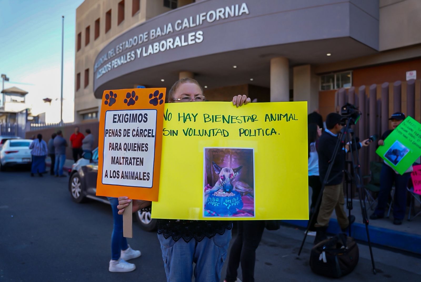 71aec9e2-411a-43c7-90b5-63e66993f505