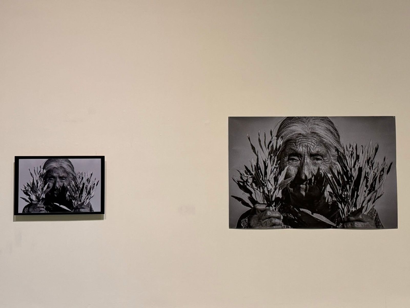 732bb2b2-42f5-47fa-ac76-b26b9043236a