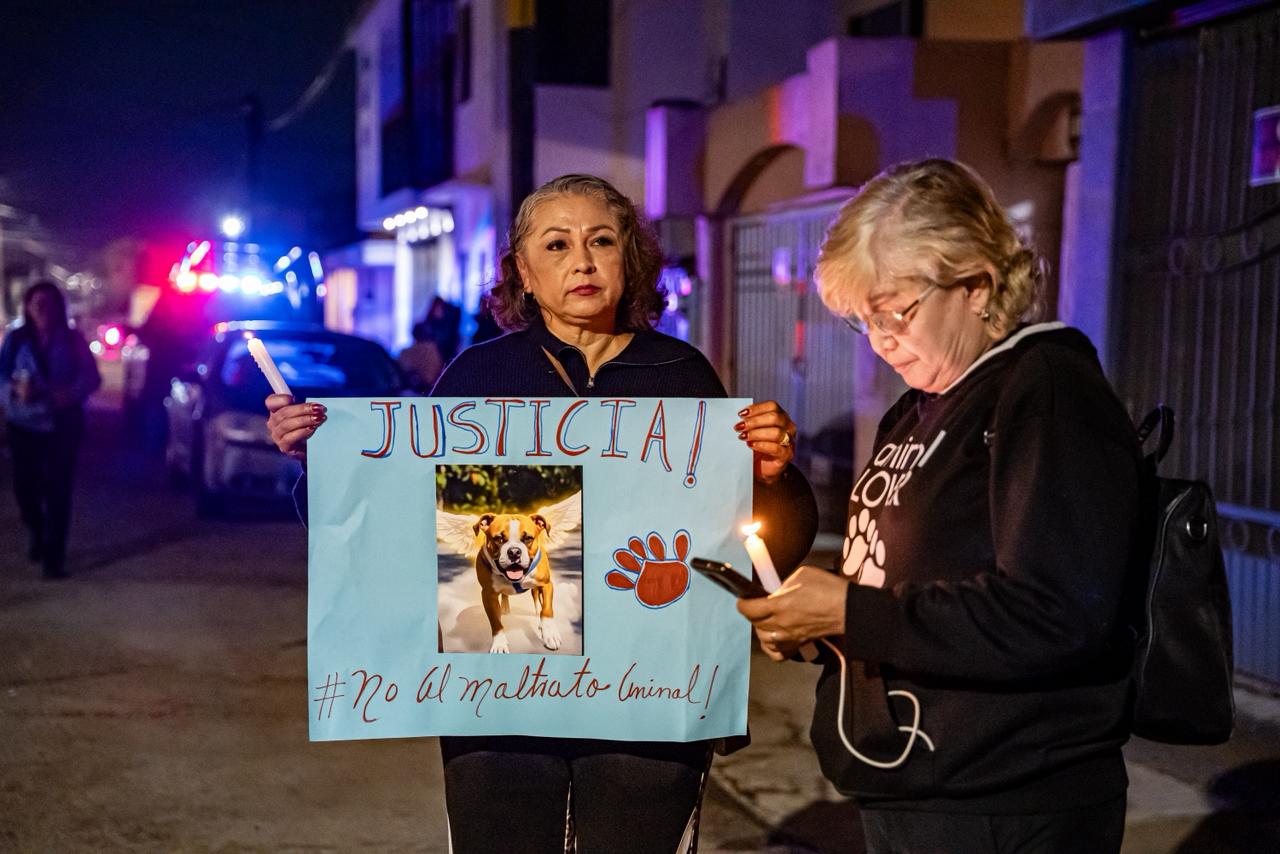 7640564d-ba1d-49b2-b4d1-8250b8a476b5