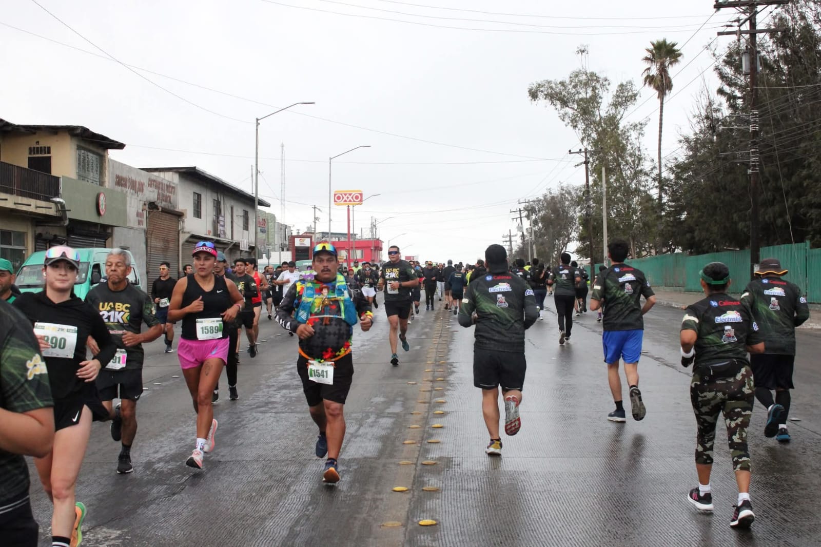 766a23c3-ebd8-4661-9c1a-0f1206ee15a0