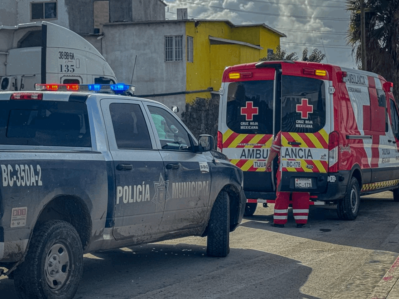 76bd8068-d7b9-4249-9409-9e7f5f4ada27