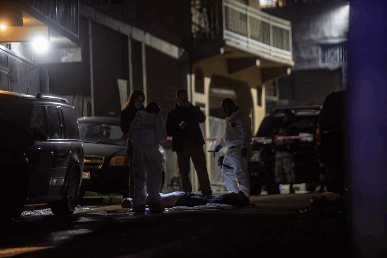 77c55021-8df6-4d39-8865-b286f3c11e63