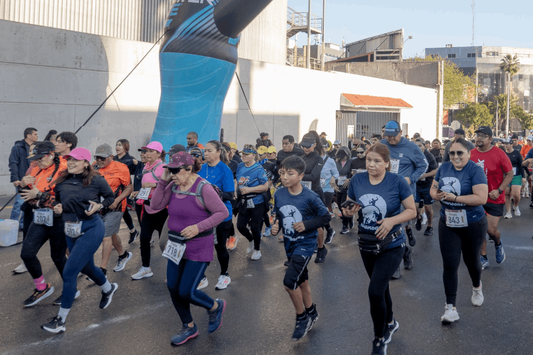 78116a97-7e7e-405e-bdcb-ada4fa5c31d2