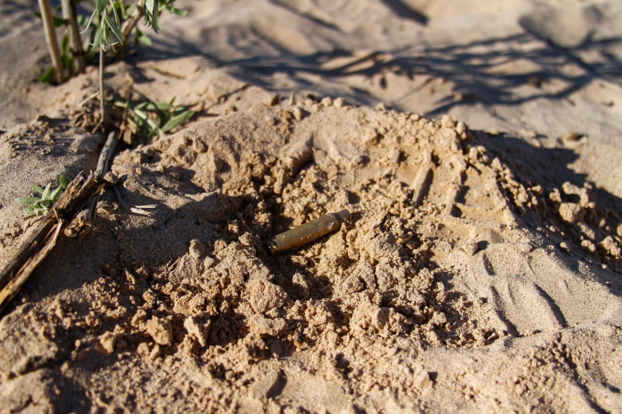 79dd0bb2-1e7c-424e-8087-6687ac30449b