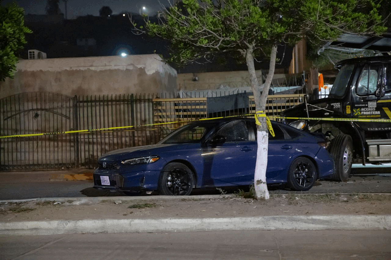 7b77f40b-7c25-4495-9e49-5f7eeec9e14f