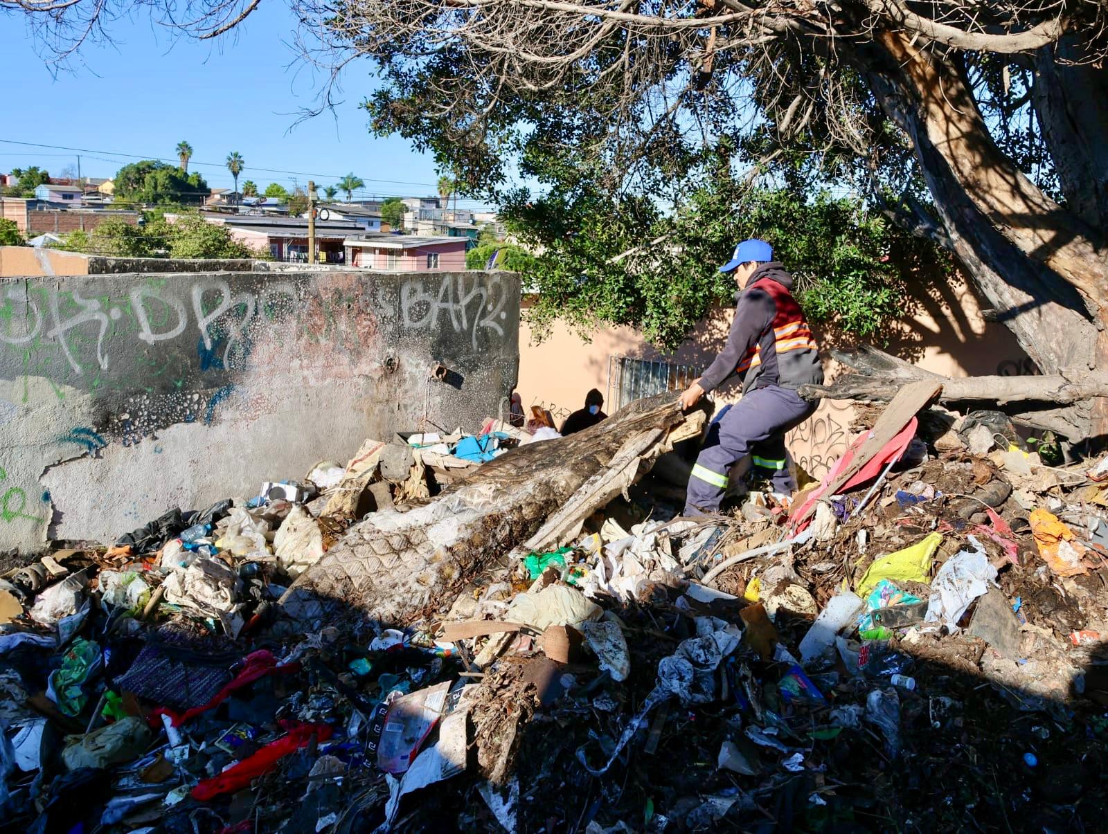 7c72273c-0852-4694-b7d4-494b924ee708