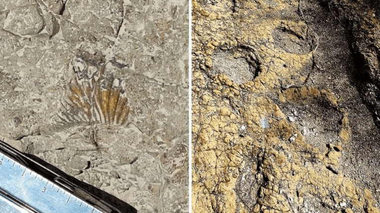 7e58b8ee-9c56-482d-a4f3-085b88559810