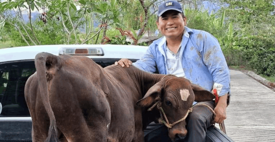 7f72d7ec-4570-4a72-8b02-13c68f1406f8