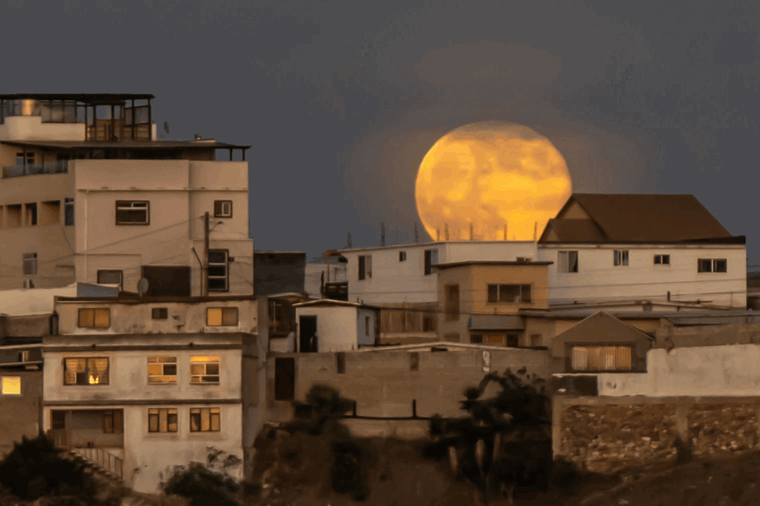 8020d589-9b60-4a63-a3f0-f368d74be2d5