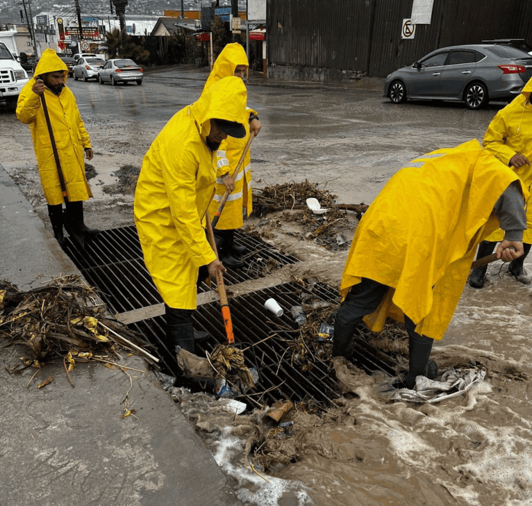 80d6245f-05ad-400c-a268-ca7316e5c25f