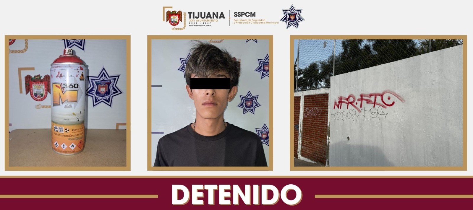 81157275-b912-480f-98d2-c5c916fe4515