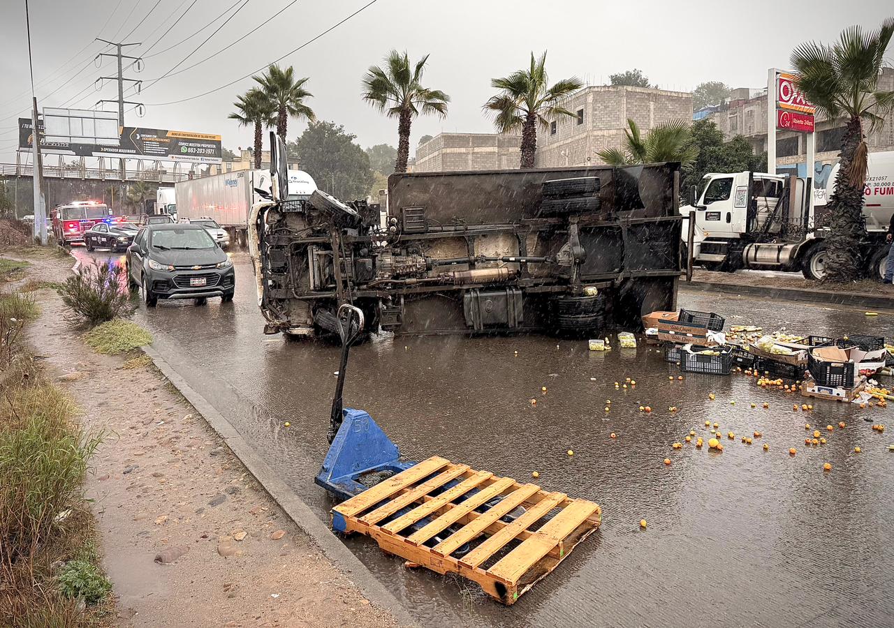 8124fff0-1fe6-440e-90f4-83649b8edfe6