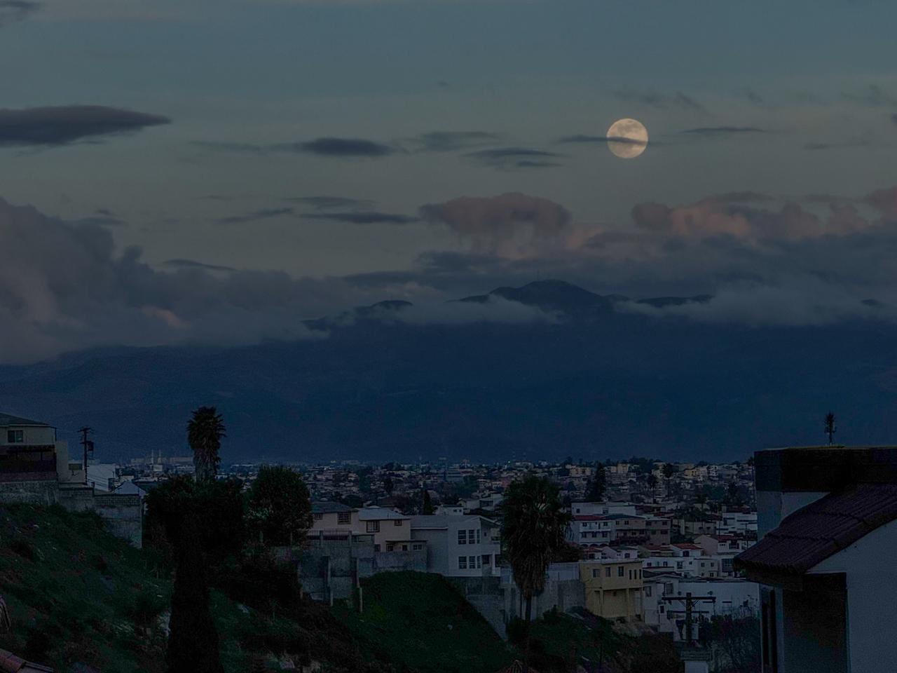 81dc2e46-0ef4-4618-98f9-3da6763615ff