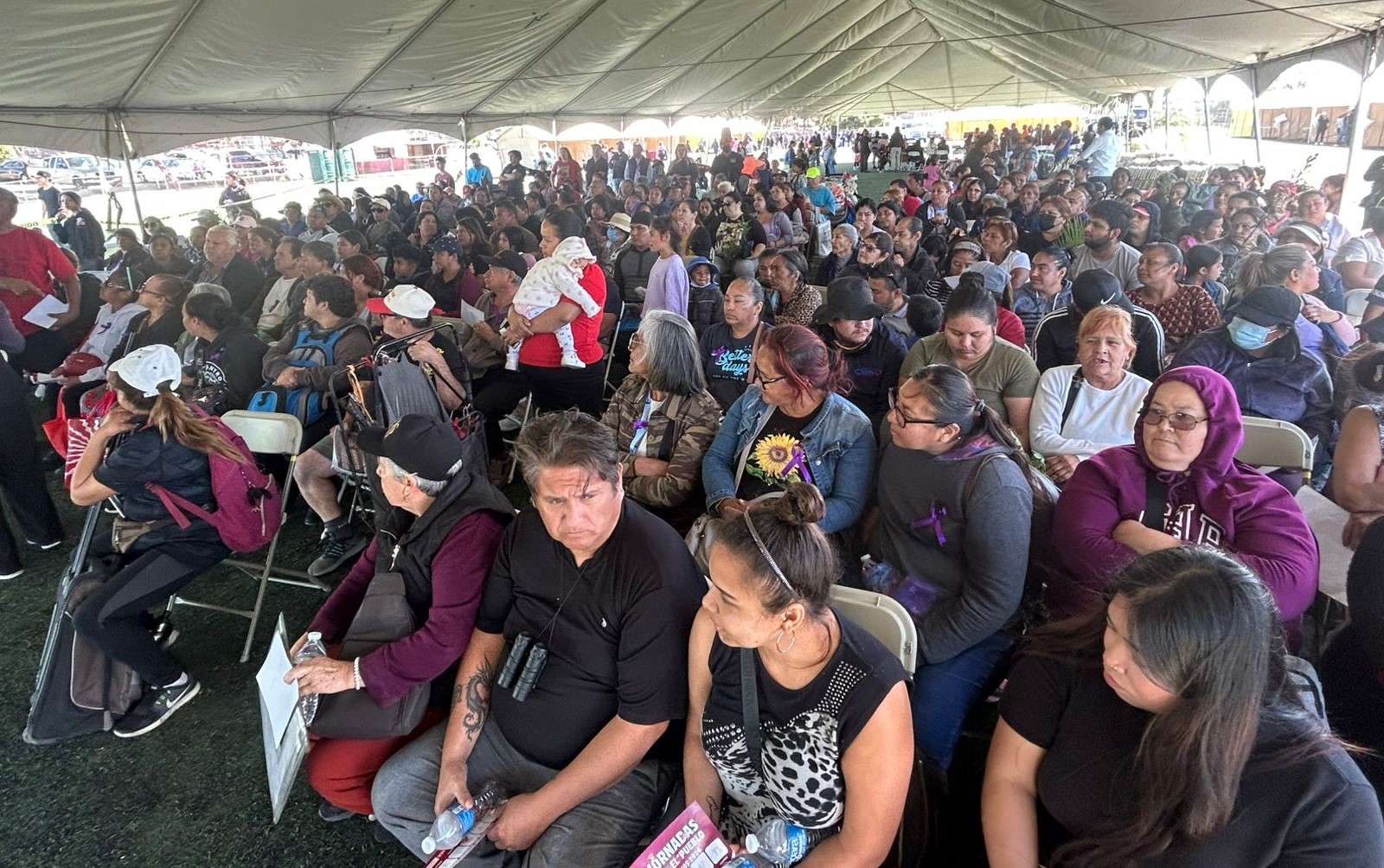 81ea2e79-c083-4c0d-854e-6e7290e0790a