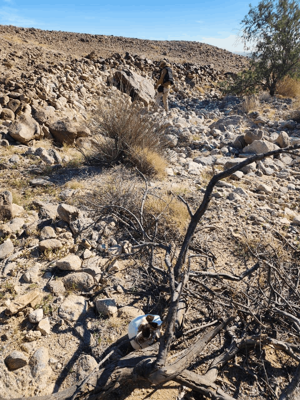 89895453-5dec-45c1-bc67-6b2cc3a67121