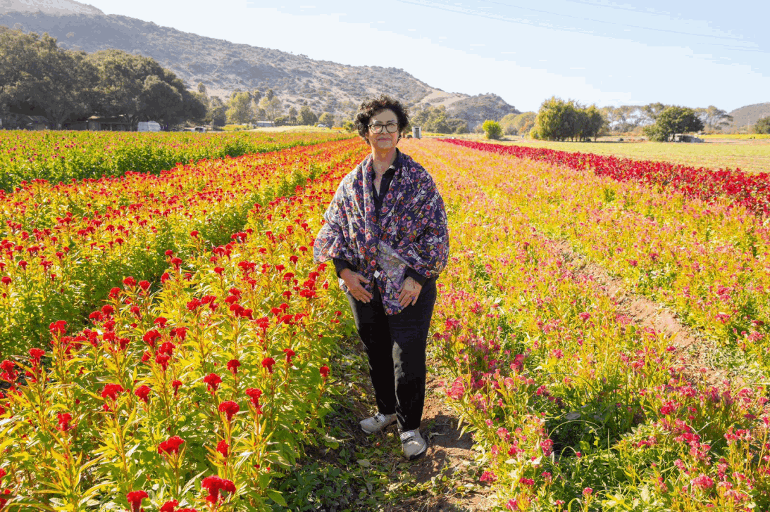 89a8e50e-11a4-4807-b54c-d21395e5a6f4