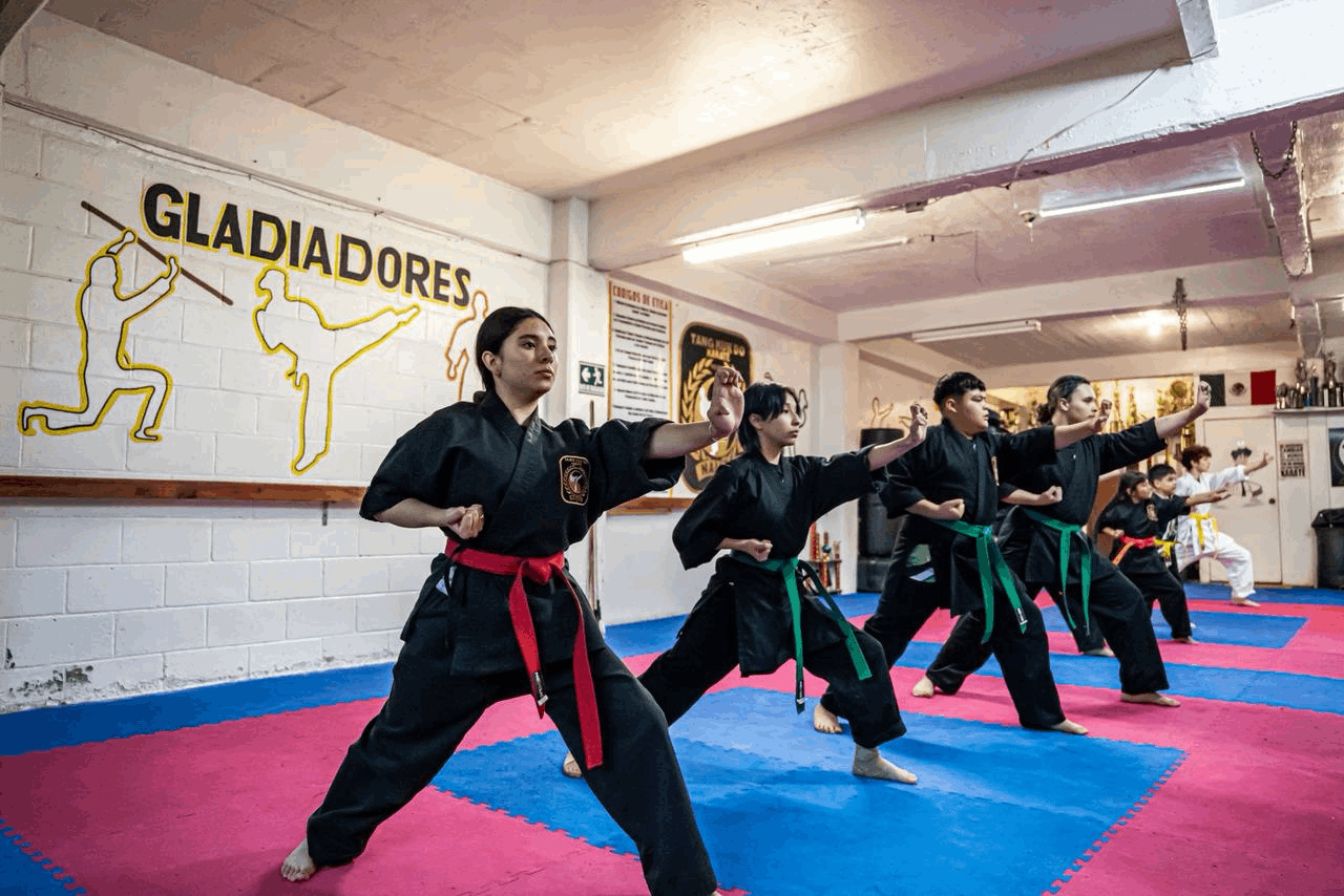 8b5b2025-7869-43b8-b3d3-01c910403930