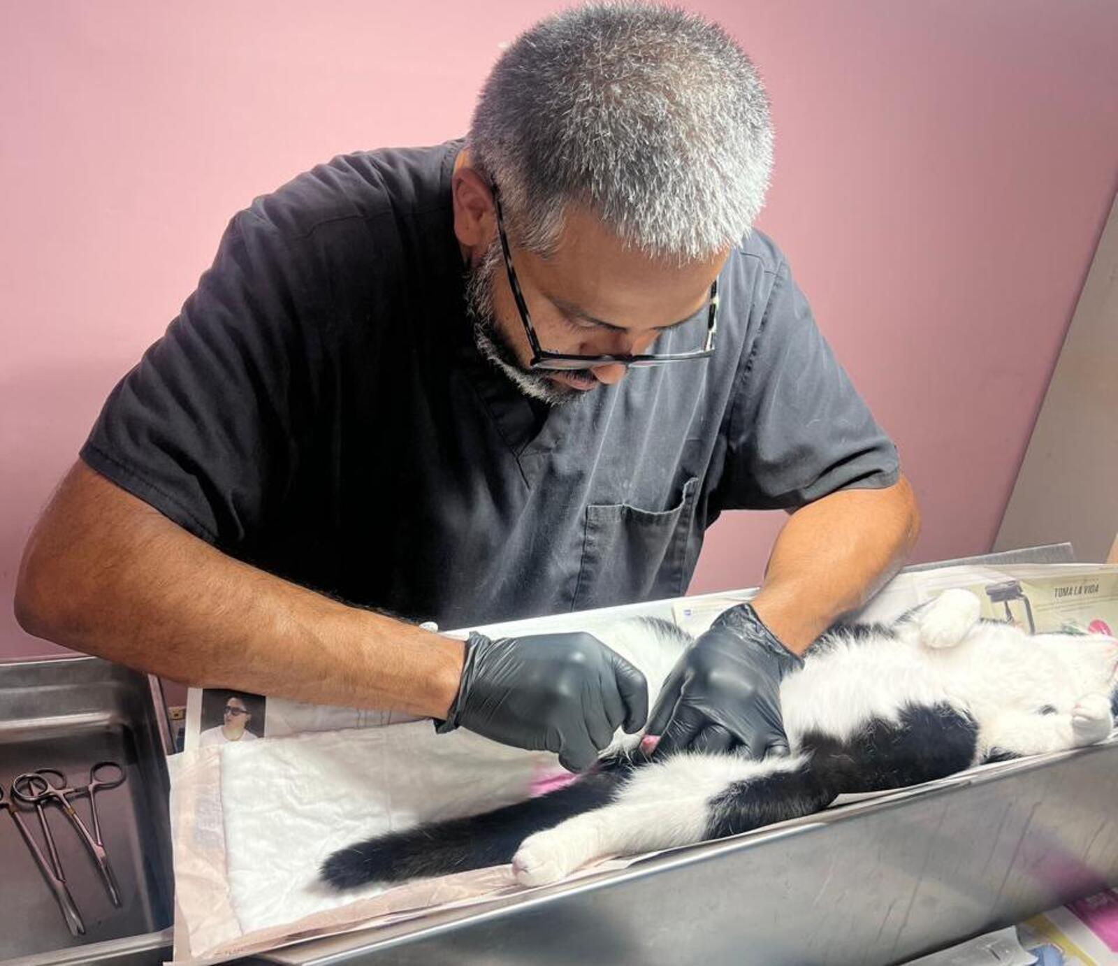 8bee9479-7def-4eac-ad3a-3e933211a806