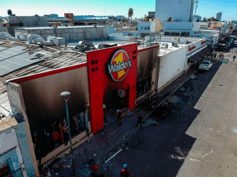 8c1bd804-10f9-4b2b-8af6-b3577bd5f3a8