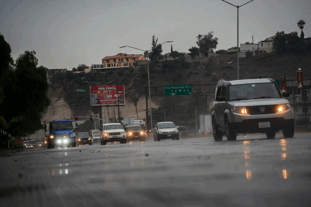 8d8c3b84-9068-45b1-8950-c5a949a176f4