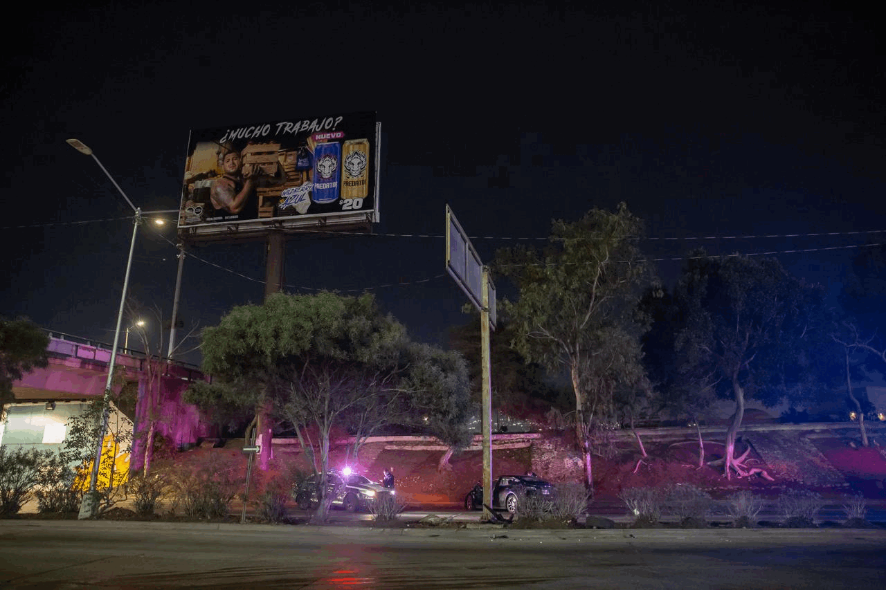 8daf7419-3a9e-4825-b0d9-c93d7a97dc99