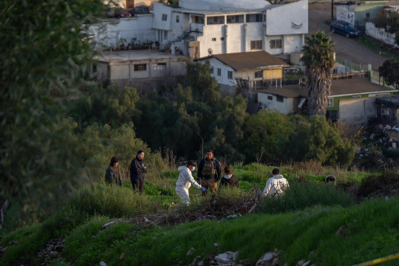 8dc7ef0c-f8c3-40f7-9301-e127e491a269