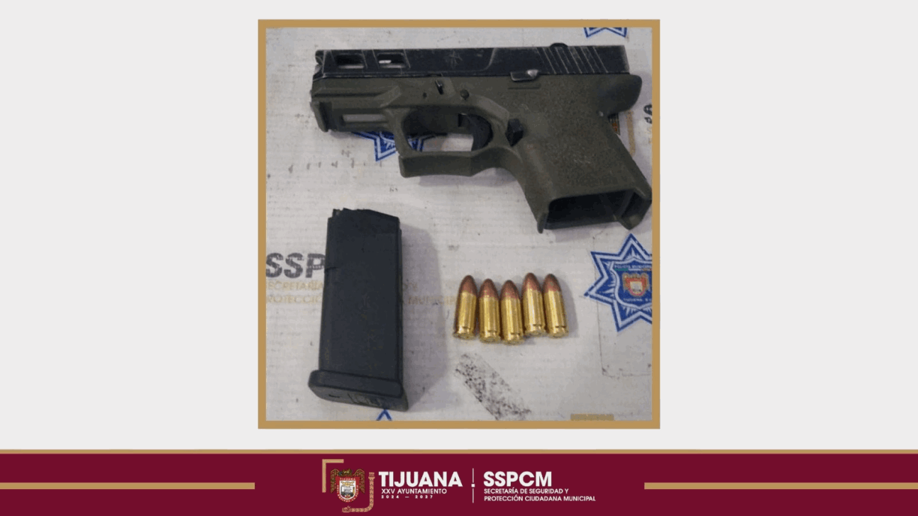 8e595ed7-c922-4b70-a2a4-ef7fe33687ab