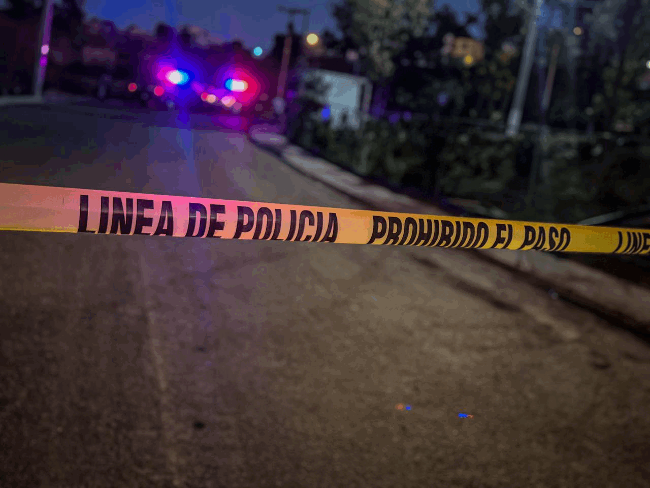 908b5056-0ee1-46bc-bccf-a2838b1e4be8