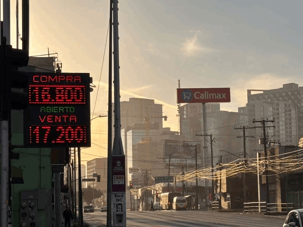 9117fa8c-4f11-4159-b0cc-1d5fb1c9b8ab