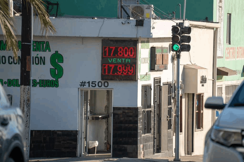 9150f49f-c4c8-4b5e-ac8b-0df2b21161eb