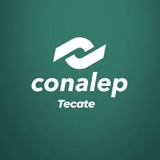 91cc34f5-e4f2-4547-8824-a2b64eaa7d3c